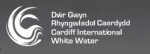 Cardiff International White Water